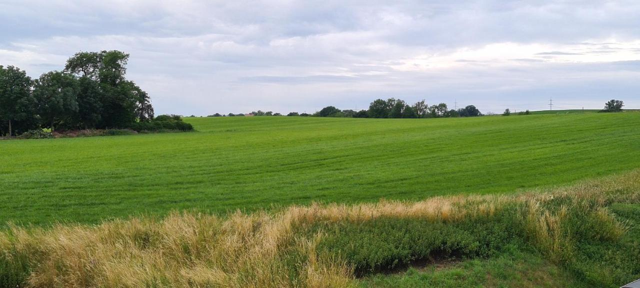 Ganze 2 Raum Ferienwohnung Rechts Baderitz Extérieur photo